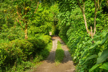 Dirt roads in the middle of the mountain