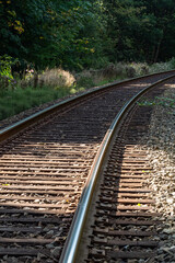 a railroad stretching into the forest on a sunny day with dense green trees on both sides
