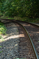 Obraz premium a railroad stretching into the forest on a sunny day with dense green trees on both sides