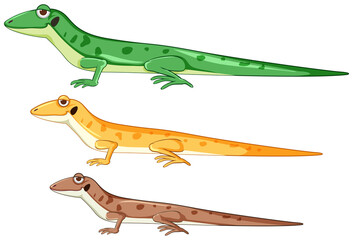 Fototapeta premium Geckos or lizards in different color cartoon style isolated