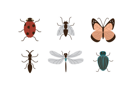 Images set of insects and garden plants pests flat vector illustration isolated.