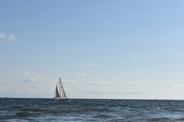Fototapeta premium sailing on the sea