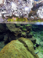 Above and below the water looking at a mossy rock in Silfra, Iceland