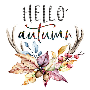 Hello Autumn, antlers with fall leaves watercolor drawing,  sketches, illustrations isolated on white background.	