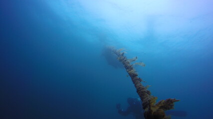 Descend into the depths diving Iceland