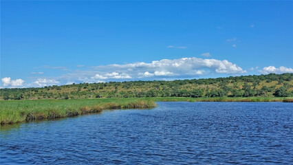 Blue calm river. The banks are overgrown with green grass. There are white clouds in the azure sky. Botswana. Chobe Park.