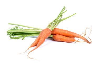 Carrots Isolated on a white background