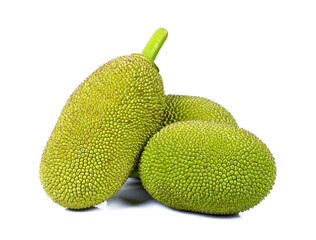 young fruit jackfruit on white background