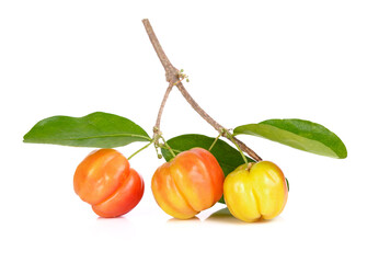 Barbados cherry, Malpighia emarginata, from central of Thailand
