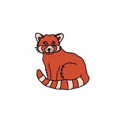 Red panda, hand drawn, sitting . Chinese animal vector art.