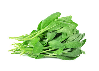 Top view - bundle of sage leaves on white background
