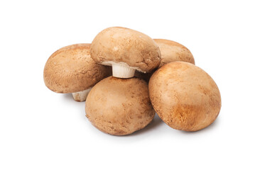 Fototapeta na wymiar Tasty mushroom isolated on white background.