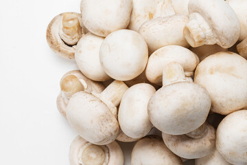 Champignon mushroom isolated on white background.