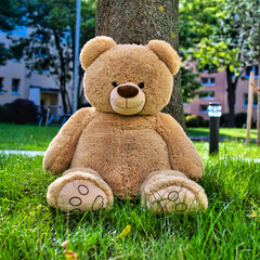 Jeder braucht einen Freund