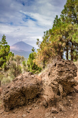 Fototapeta na wymiar Visiones del Volcán