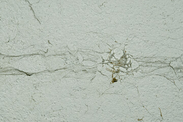 The webs of spiders were gathered together on the wall.