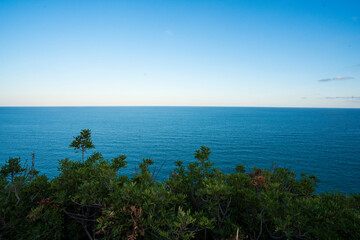 Fototapeta na wymiar mar con arbustos delante y cielo azul