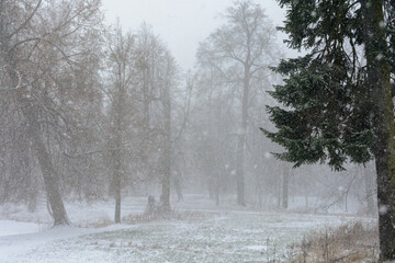 Thick snow is falling in the park