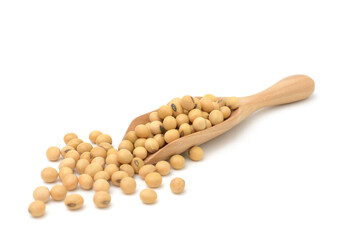Soybeans isolated on white background,Agricultural products,copy space.