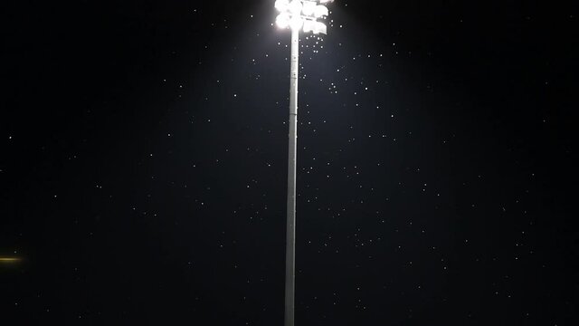 Western Hemlock looper moths swarming some stadium lights.  Vancouver BC Canada
