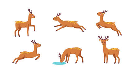 Set of cheerful reindeers. Jumping, standing, running, drinking reindeer in cute cartoon style. Isolated vector illustration