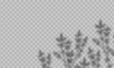 Vector overlay shadow effect. Mock up with soft light and blurred shadows from branches, plant and leaves isolated on transparent background