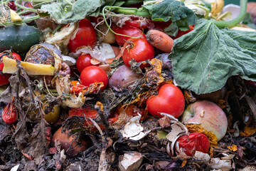 Kompostieren in Garten alter Esswaren - recycling z Erde