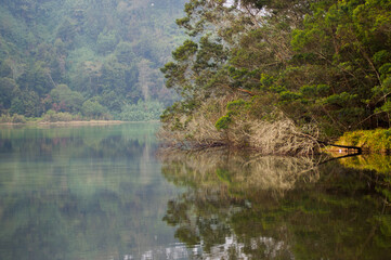 Beautiful Lakes Color and trees at plateau Dieng