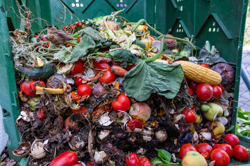 Kompost - Recycling von Essen zu Erde - Humus
