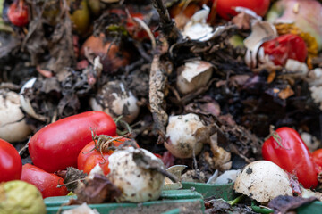 Kompost - Recycling von Essen zu Erde - Humus