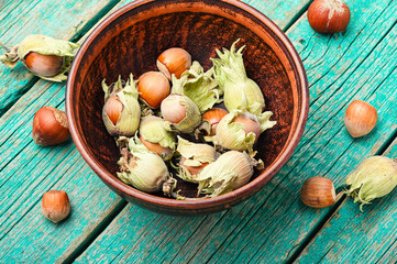 Hazelnuts in the husk