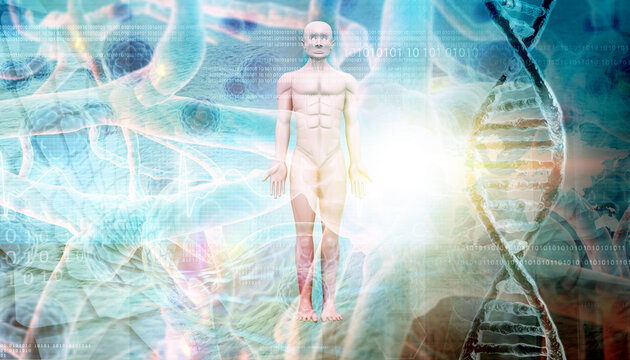 Human body  and DNA on abstract background. 3d illustration.