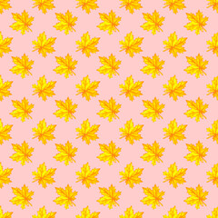 Watercolor autumn maple leaves seamless pattern. Colorful fall background and texture
