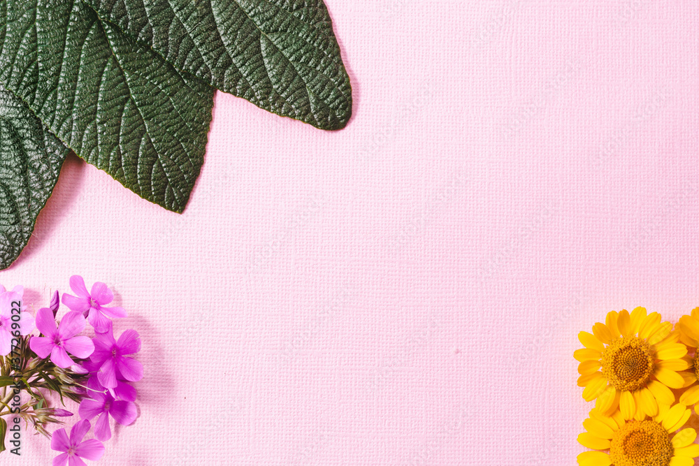 Wall mural on a textured pink background, green leaves of the wrinkled viburnum, pink phlox flowers and yellow 