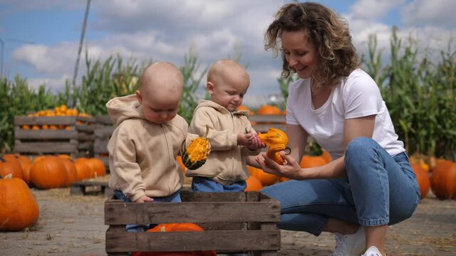 Family day in the pumpkin patch. Mother kneeing next her baby twins showing them pumpkins