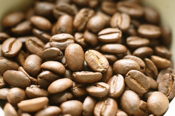 コーヒー　コーヒー豆