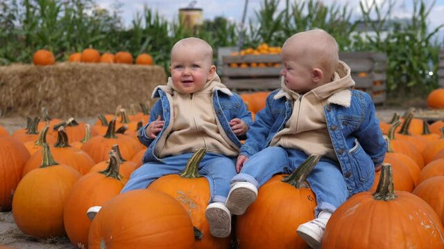 Baby twins sitting on pumpkins and laughing at pumpkin patch. Happy childhood concept