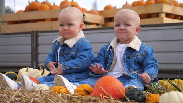 Adorable twin babies in matching denim outfits sitting in hay and pumpkins in the pumpkin patch. 