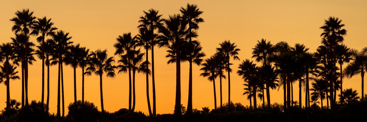 Waves crashing high in front of a