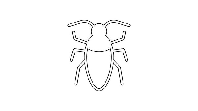 Black line Cockroach icon isolated on white background. 4K Video motion graphic animation.