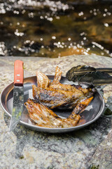 アウトドア料理　手羽先の焼き鳥