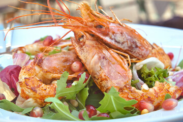 Delicious light shrimp salad with arugula, cherry tomatoes, parmesan cheese and garnet seeds