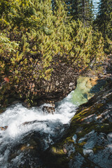 waterfall in the mountains