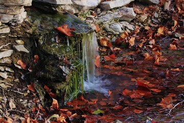 waterfall in autumn with leaves closeup in Kansas.