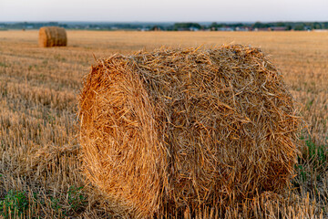 Hay bales on harvested farm field. Big straw bale on stubble. Summer agriculture landscape with sun rays at sunset
