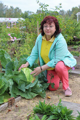 A woman with a crop of cabbage in the country