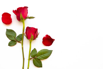 colorful red rose flowers arrangement flat lay postcard style on background white 