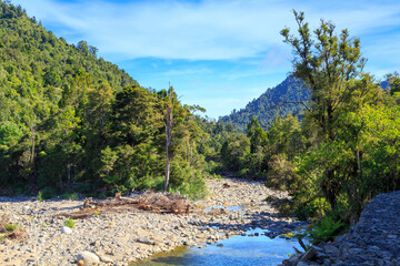 Fototapeta na wymiar A forest landscape with a stony riverbed in the Kauaeranga Valley, Coromandel Peninsula, New Zealand