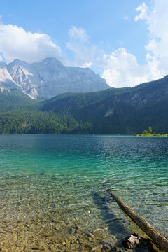 baluer bergsee mit baumstamm im wasser 