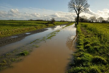 A flooded country lane in Brittany